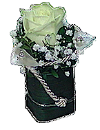 Unser Hit - die Rosenpralinen