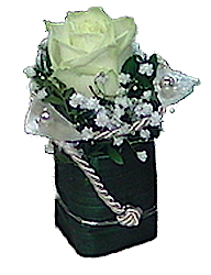 Rosenpraline