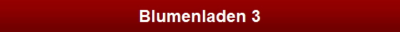 Blumenladen 3