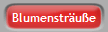 Blumenstr�u�e