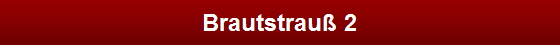 Brautstrau� 2