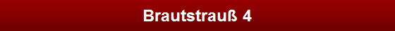 Brautstrau� 4