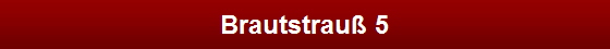 Brautstrau� 5