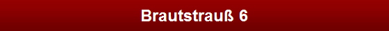Brautstrau� 6