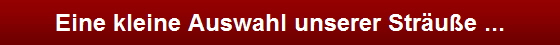 Eine kleine Auswahl unserer Str�u�e ...
