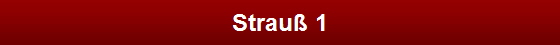 Strau� 1