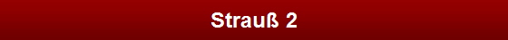 Strau� 2