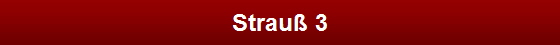 Strau� 3
