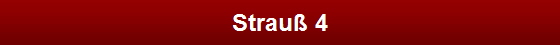 Strau� 4