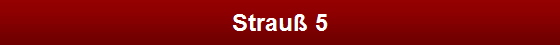 Strau� 5