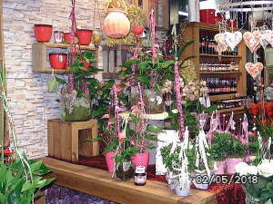 Blumenladen 2